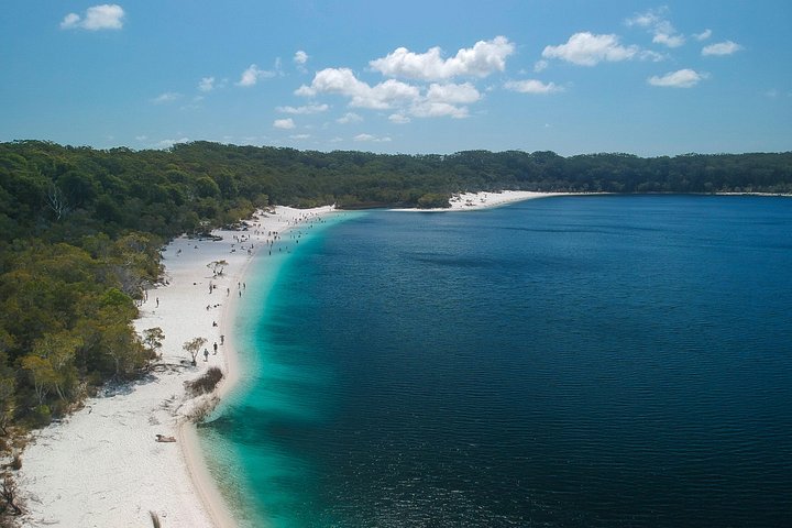 Avventura 4WD autoguidata a Fraser Island, esplorando spiagge, laghi e foreste pluviali, foto 8 | wizardtrip