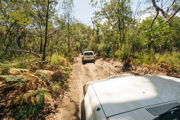 Avventura 4WD autoguidata a Fraser Island, esplorando spiagge, laghi e foreste pluviali, foto 17 | wizardtrip