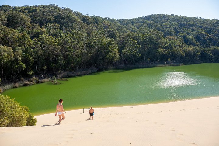 Avventura 4WD autoguidata a Fraser Island, esplorando spiagge, laghi e foreste pluviali, foto 18 | wizardtrip