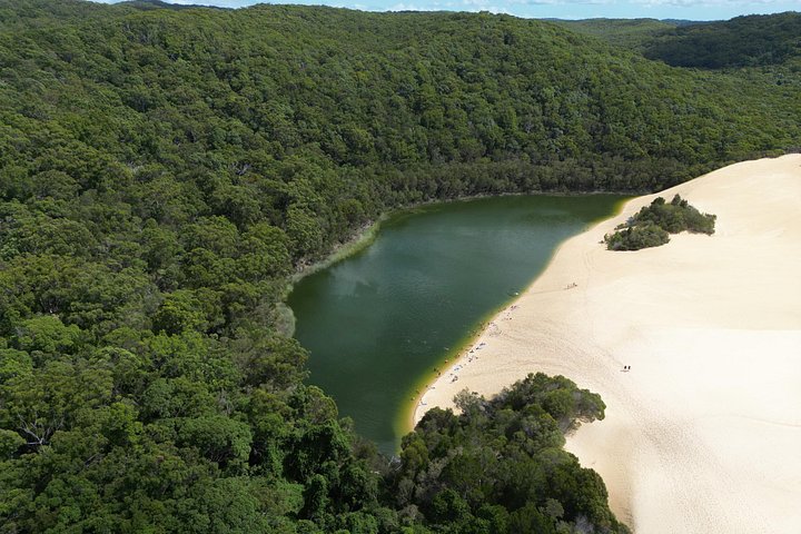 Avventura 4WD autoguidata a Fraser Island, esplorando spiagge, laghi e foreste pluviali, foto 19 | wizardtrip