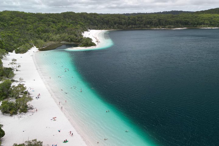 Avventura 4WD autoguidata a Fraser Island, esplorando spiagge, laghi e foreste pluviali, foto 22 | wizardtrip