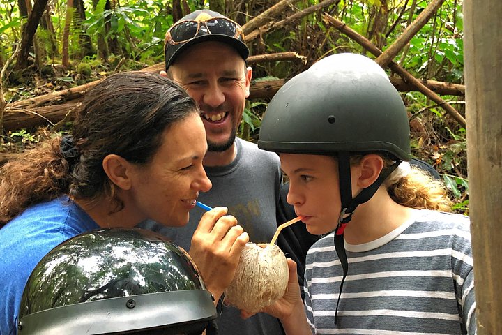 Experimenta un emocionante tour en ATV y UTV explorando la cultura polinesia en la Isla Grande de Hawái, foto 7 | wizardtrip