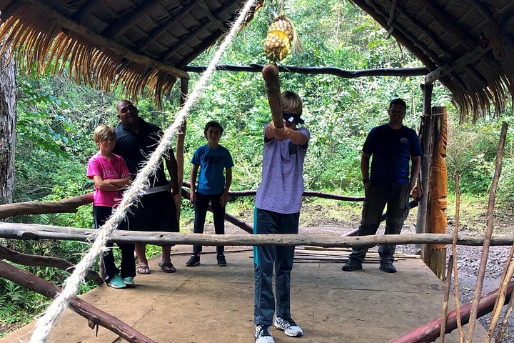 Experimenta un emocionante tour en ATV y UTV explorando la cultura polinesia en la Isla Grande de Hawái, foto 8 | wizardtrip