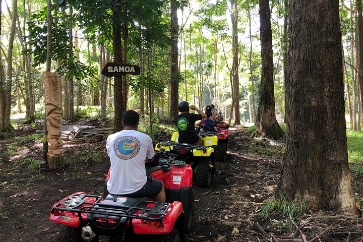 Experimenta un emocionante tour en ATV y UTV explorando la cultura polinesia en la Isla Grande de Hawái, foto 9 | wizardtrip
