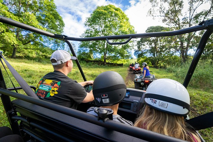 Experimenta un emocionante tour en ATV y UTV explorando la cultura polinesia en la Isla Grande de Hawái, foto 12 | wizardtrip