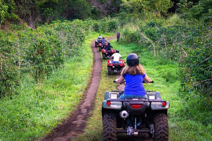 Experimenta un emocionante tour en ATV y UTV explorando la cultura polinesia en la Isla Grande de Hawái, foto 14 | wizardtrip