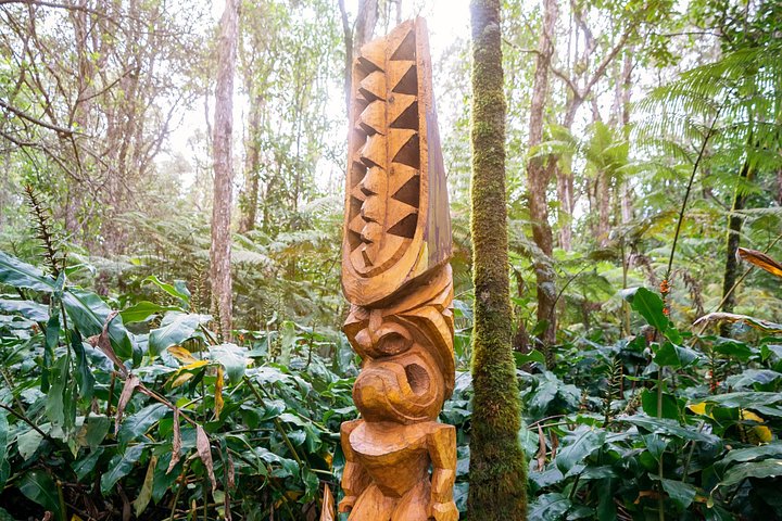 Experimenta un emocionante tour en ATV y UTV explorando la cultura polinesia en la Isla Grande de Hawái, foto 15 | wizardtrip