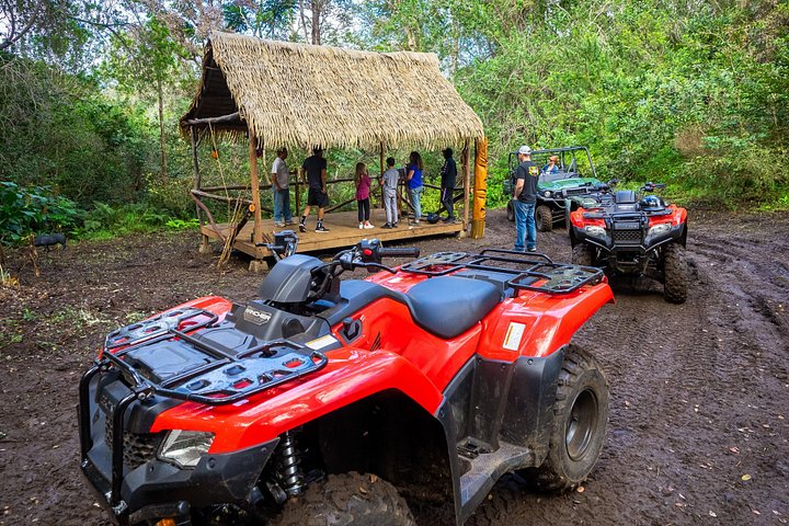 Experimenta un emocionante tour en ATV y UTV explorando la cultura polinesia en la Isla Grande de Hawái, foto 19 | wizardtrip