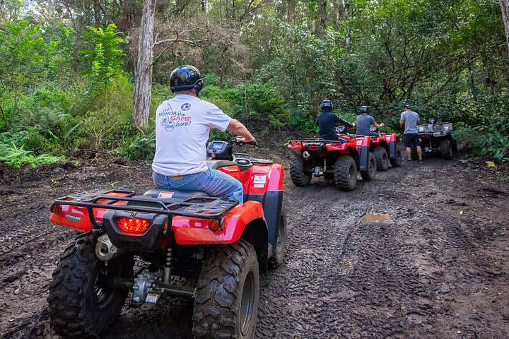 Experimenta un emocionante tour en ATV y UTV explorando la cultura polinesia en la Isla Grande de Hawái, foto 20 | wizardtrip