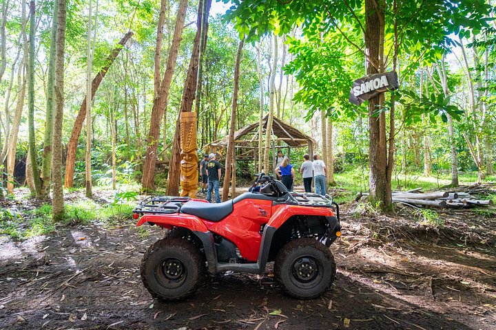 Experimenta un emocionante tour en ATV y UTV explorando la cultura polinesia en la Isla Grande de Hawái, foto 23 | wizardtrip