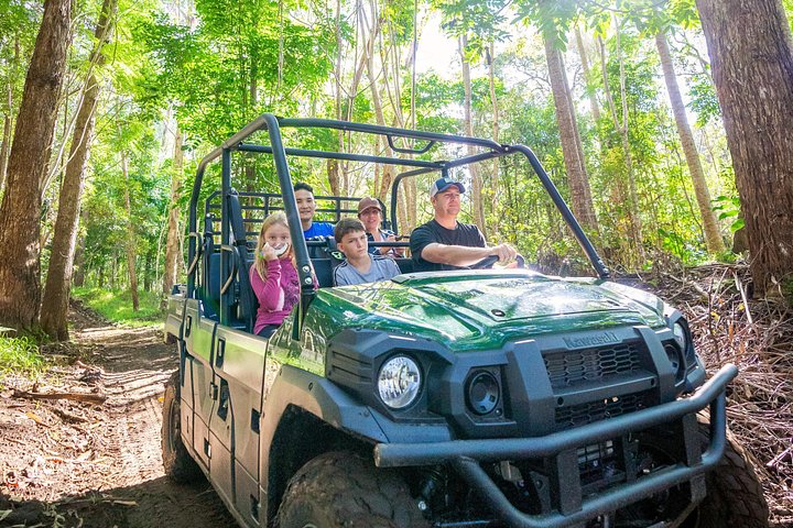 Experimenta un emocionante tour en ATV y UTV explorando la cultura polinesia en la Isla Grande de Hawái, foto 25 | wizardtrip