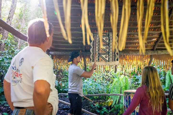 Experimenta un emocionante tour en ATV y UTV explorando la cultura polinesia en la Isla Grande de Hawái, foto 27 | wizardtrip