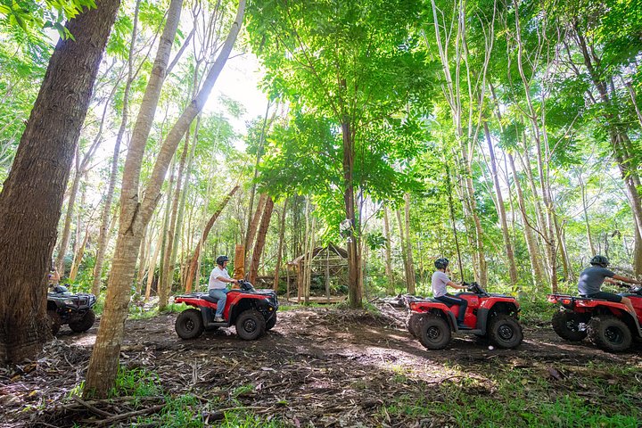 Experimenta un emocionante tour en ATV y UTV explorando la cultura polinesia en la Isla Grande de Hawái, foto 30 | wizardtrip