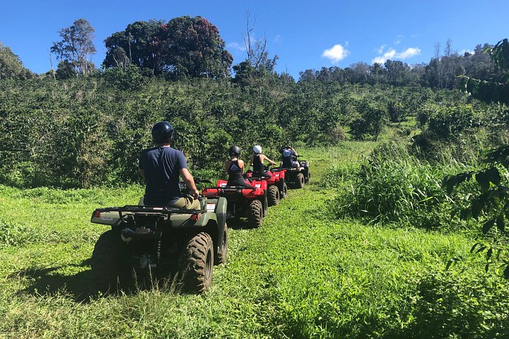 Experimenta un emocionante tour en ATV y UTV explorando la cultura polinesia en la Isla Grande de Hawái, foto 32 | wizardtrip