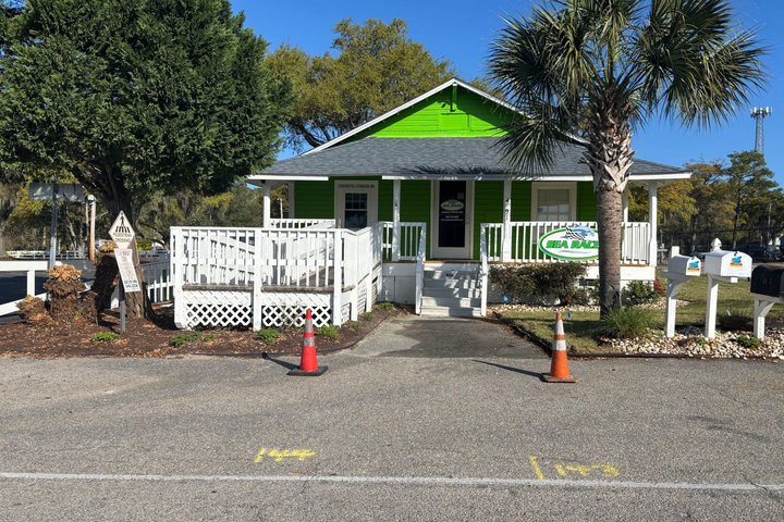 Desfrute de um emocionante cruzeiro de observação de golfinhos em Myrtle Beach, avistando a vida selvagem ao longo do Intracoastal Waterway, foto 12 | wizardtrip
