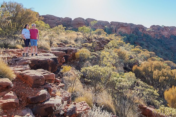 Excursion d'une journée au Kings Canyon depuis Ayers Rock (Uluru) | wizardtrip