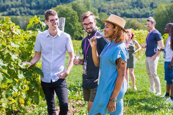 Wein und Mittagessen Ausflug | wizardtrip