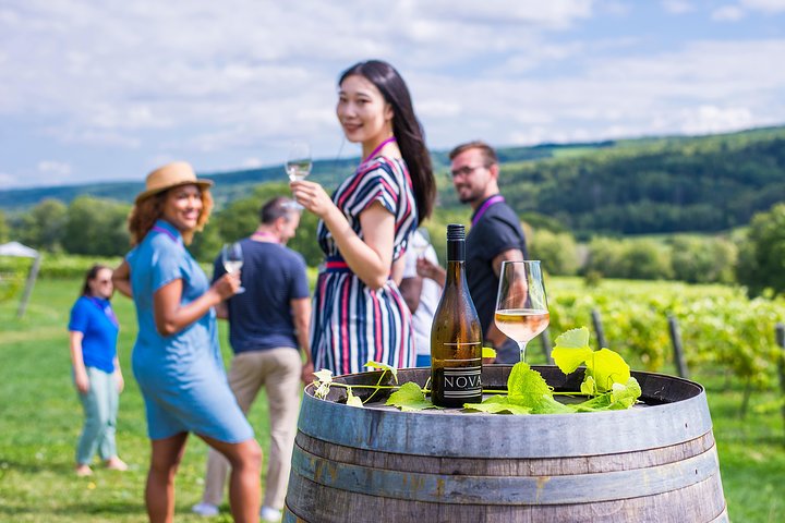 Schilderachtige wijngaardtour en wijnproeverij in de Annapolis Valley van Nova Scotia, foto 6 | wizardtrip