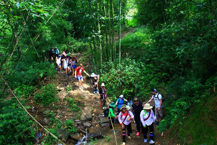 Vandreeventyr gennem risterrasser og etniske landsbyer i Sapa, Vietnam, foto 14 | wizardtrip