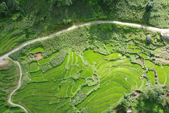 Vandreeventyr gennem risterrasser og etniske landsbyer i Sapa, Vietnam, foto 15 | wizardtrip