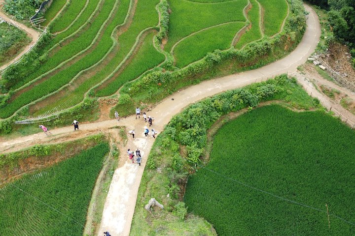 Vandreeventyr gennem risterrasser og etniske landsbyer i Sapa, Vietnam, foto 16 | wizardtrip