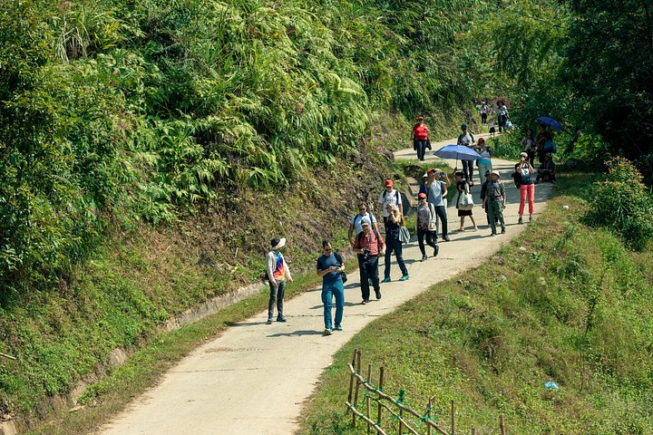 Vandreeventyr gennem risterrasser og etniske landsbyer i Sapa, Vietnam, foto 22 | wizardtrip
