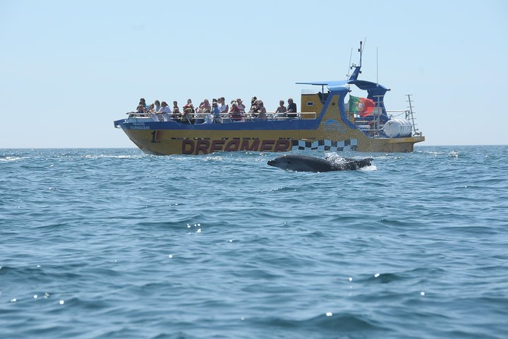 Profitez d'une excursion en bateau exaltante le long de la côte d'Albufeira, à la recherche de dauphins et à la découverte de grottes, photo 9 | wizardtrip