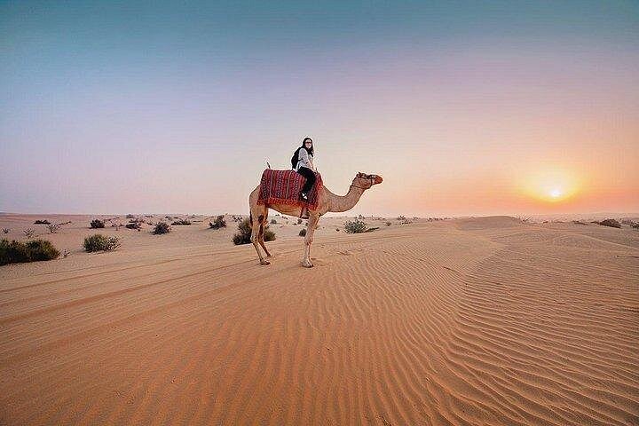 Oplev en spændende ørkensafari i Dubai med dune bashing, quad biking, kamelridt og kulturelle shows, foto 16 | wizardtrip