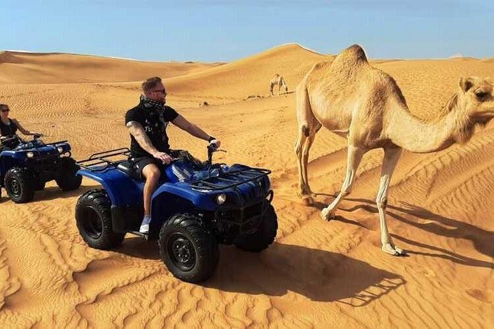 Morning desert safari in Dubai with quad biking, sandboarding, and camel rides on red dunes, photo 15 | wizardtrip