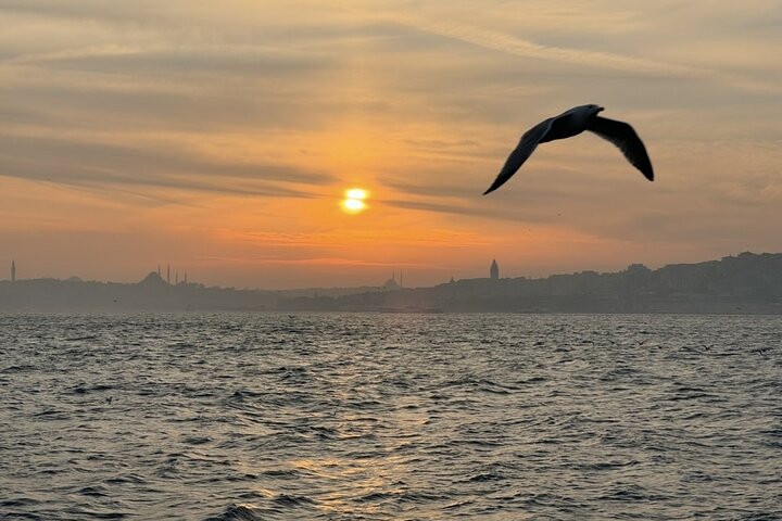 Naturskønt bådkrydstogt på Istanbuls Bosporus-stræde, der viser ikoniske vartegn, foto 11 | wizardtrip