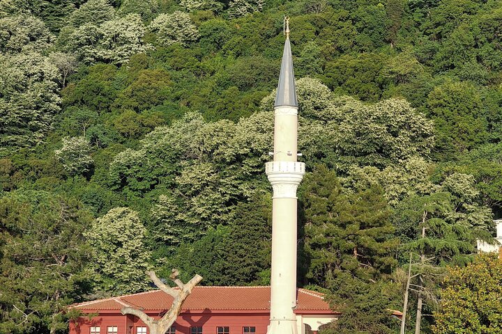 Naturskønt bådkrydstogt på Istanbuls Bosporus-stræde, der viser ikoniske vartegn, foto 13 | wizardtrip