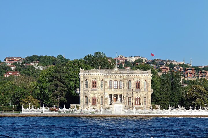 Naturskønt bådkrydstogt på Istanbuls Bosporus-stræde, der viser ikoniske vartegn, foto 20 | wizardtrip