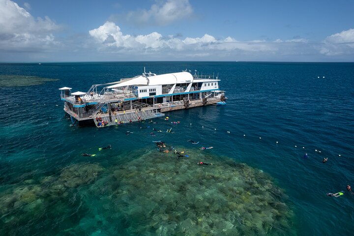 Snorkel y Buceo en el Arrecife: Tour Científico y Cultural Sostenible | wizardtrip