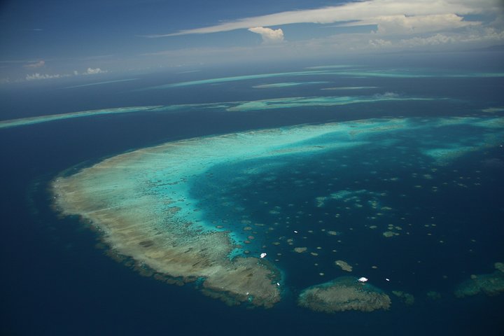 Verken het Great Barrier Reef met snorkel-, duik- en boottochten met glazen bodem vanuit Cairns, foto 8 | wizardtrip