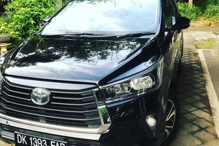 Private car charter service in Bali with an English-speaking driver, exploring popular tourist destinations, photo 9 | wizardtrip