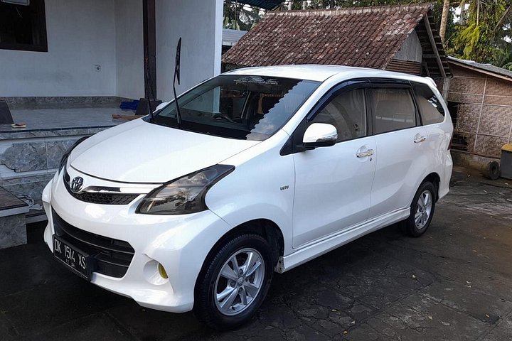 Private car charter service in Bali with an English-speaking driver, exploring popular tourist destinations, photo 13 | wizardtrip