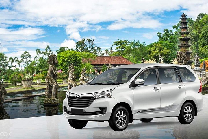 Private car charter service in Bali with an English-speaking driver, exploring popular tourist destinations, photo 17 | wizardtrip