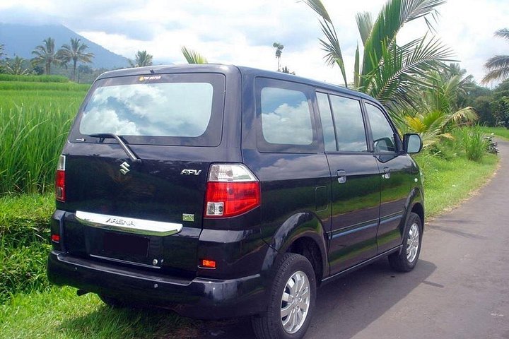 Private car charter service in Bali with an English-speaking driver, exploring popular tourist destinations, photo 22 | wizardtrip