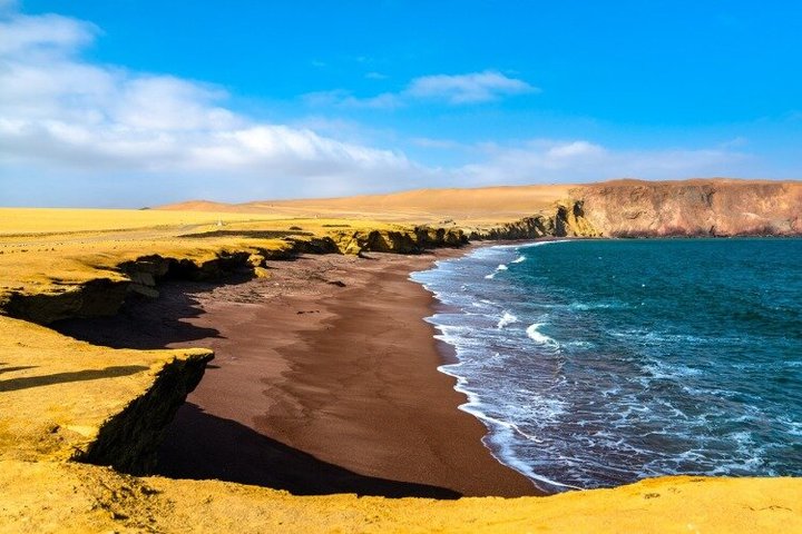 Dagtocht vanuit Lima naar Paracas en Huacachina, met boottochten, woestijnavonturen en zonsondergang uitzichten, foto 6 | wizardtrip