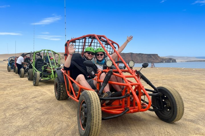 Dagtocht vanuit Lima naar Paracas en Huacachina, met boottochten, woestijnavonturen en zonsondergang uitzichten, foto 11 | wizardtrip