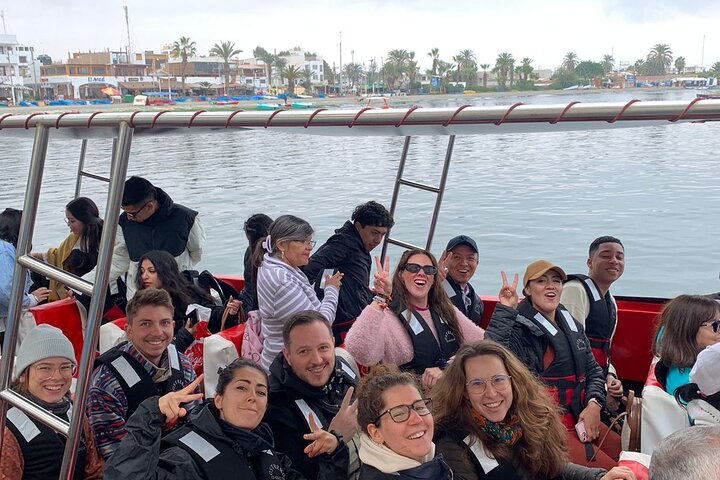 Dagtocht vanuit Lima naar Paracas en Huacachina, met boottochten, woestijnavonturen en zonsondergang uitzichten, foto 36 | wizardtrip