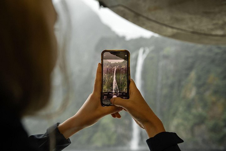Ganztägiger Ausflug zum Milford Sound von Queenstown mit malerischen Fahrten und einer Naturkreuzfahrt, Foto 6 | wizardtrip