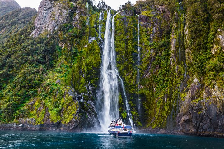 Ganztägiger Ausflug zum Milford Sound von Queenstown mit malerischen Fahrten und einer Naturkreuzfahrt, Foto 10 | wizardtrip