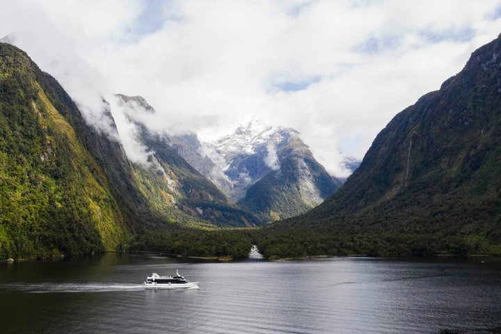 Malerische Kreuzfahrt durch den Milford Sound, Neuseeland, mit dramatischen Fjordlandschaften und Tierwelt, Foto 7 | wizardtrip