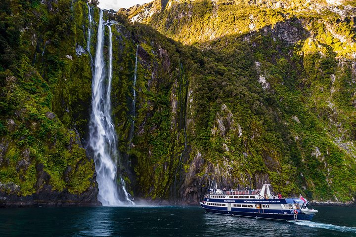 Malerische Kreuzfahrt durch den Milford Sound, Neuseeland, mit dramatischen Fjordlandschaften und Tierwelt, Foto 15 | wizardtrip