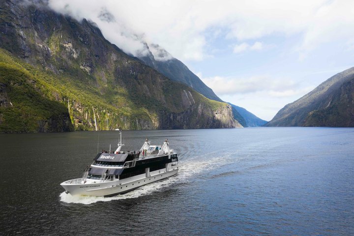 Malerische Kreuzfahrt durch den Milford Sound, Neuseeland, mit dramatischen Fjordlandschaften und Tierwelt, Foto 16 | wizardtrip