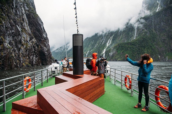 Malerische Kreuzfahrt durch den Milford Sound, Neuseeland, mit dramatischen Fjordlandschaften und Tierwelt, Foto 17 | wizardtrip
