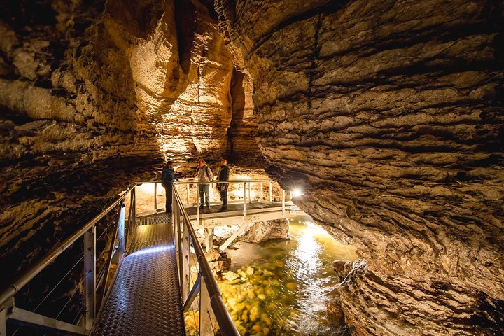 Tour de las Cuevas de Gusanos de Luz de Te Anau | wizardtrip