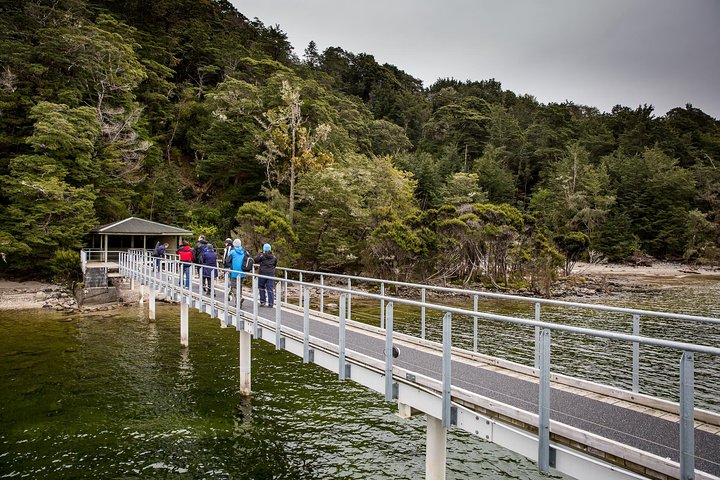 Utforska de magiska Te Anau Glowworm Caves och njut av en naturskön båttur på sjön Te Anau, Nya Zeeland, foto 7 | wizardtrip