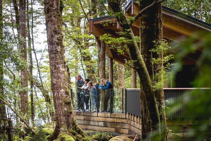 Utforska de magiska Te Anau Glowworm Caves och njut av en naturskön båttur på sjön Te Anau, Nya Zeeland, foto 9 | wizardtrip